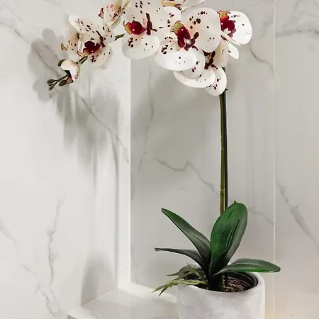 Nova Sfera By Bookinghost Apartmán